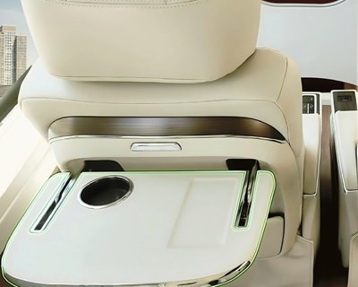 VIP Limousine Sapa 29 Seat